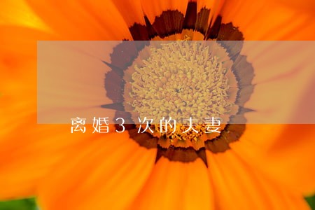 离婚3次的夫妻 离婚3次的夫妻