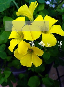 离婚4年后的感受 离婚4年后的感受
