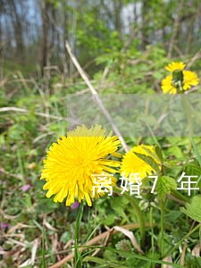 离婚7年协议可以更改吗 离婚7年协议可以更改吗