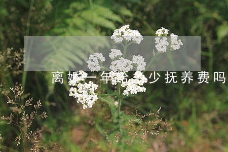 离婚一年给多少抚养费吗 离婚一年给多少抚养费吗