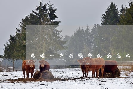 离婚一方有精神疾病怎么判决 离婚一方有精神疾病怎么判决
