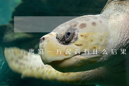 离婚一方起诉有什么后果 离婚一方起诉有什么后果