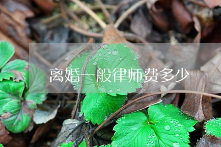 离婚一般律师费多少 离婚一般律师费多少
