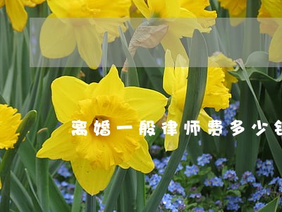 离婚一般律师费多少钱 离婚一般律师费多少钱