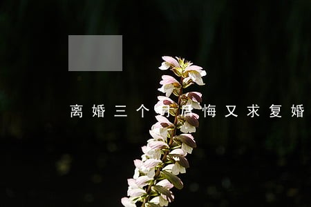 离婚三个月后悔又求复婚