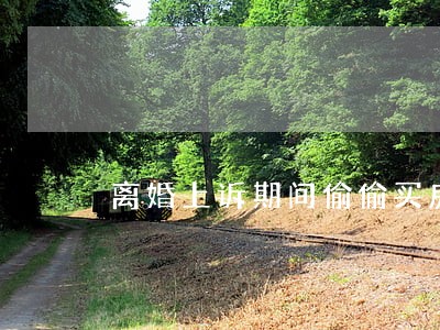 离婚上诉期间偷偷买房 离婚上诉期间偷偷买房