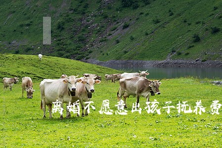 离婚不愿意出孩子抚养费 离婚不愿意出孩子抚养费