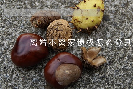 离婚不离家债权怎么分割 离婚不离家债权怎么分割