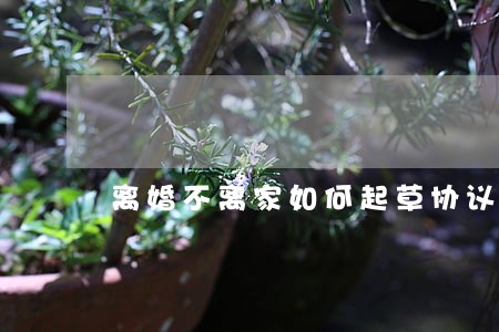 离婚不离家如何起草协议 离婚不离家如何起草协议