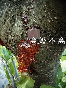 离婚不离户的好坏 离婚不离户的好坏