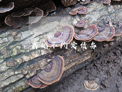 离婚不约定债务 离婚不约定债务
