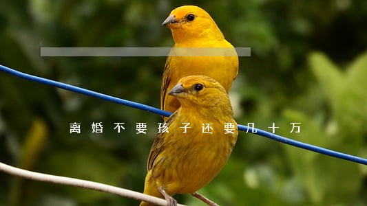 离婚不要孩子还要几十万 离婚不要孩子还要几十万