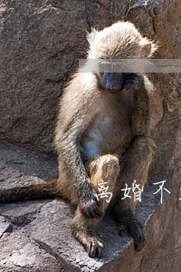 离婚不起诉法院给调解吗