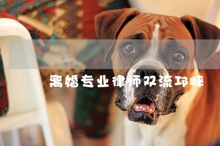 离婚专业律师双流邛崃 离婚专业律师双流邛崃