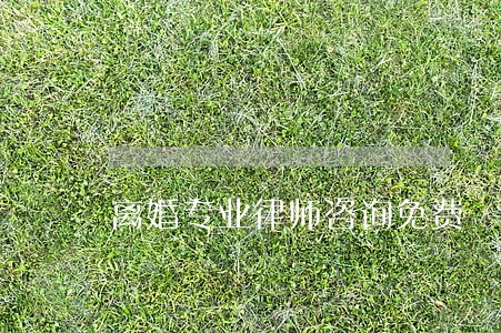 离婚专业律师咨询免费 离婚专业律师咨询免费
