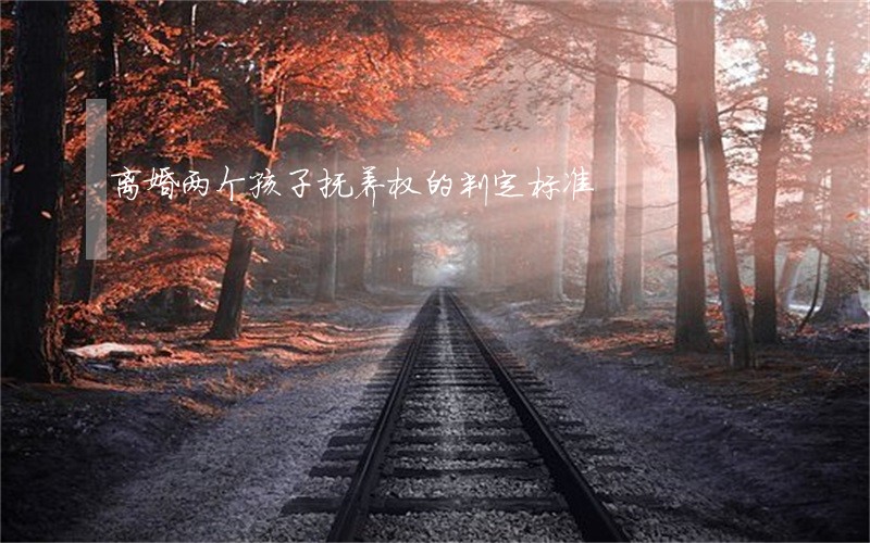 离婚两个孩子抚养权的判定标准