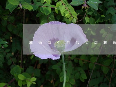 离婚两个月后买房算婚内财产吗 离婚两个月后买房算婚内财产吗