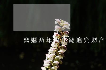 离婚两年内还能追究财产分割吗 离婚两年内还能追究财产分割吗