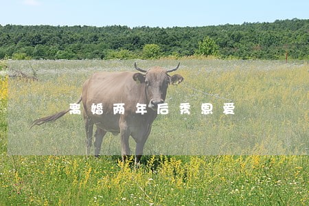 离婚两年后秀恩爱 离婚两年后秀恩爱