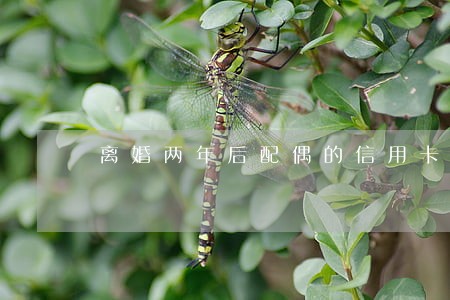 离婚两年后配偶的信用卡逾期了 离婚两年后配偶的信用卡逾期了