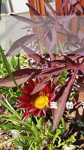 离婚为什么要签字等一个月 离婚为什么要签字等一个月
