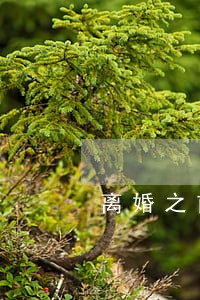 离婚之前把车卖了还账违法吗