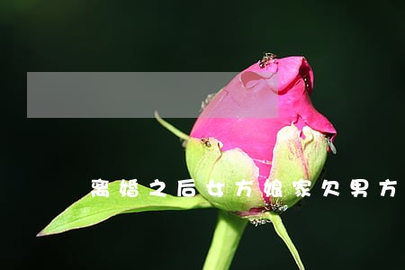 离婚之后女方娘家欠男方钱怎么要 离婚之后女方娘家欠男方钱怎么要