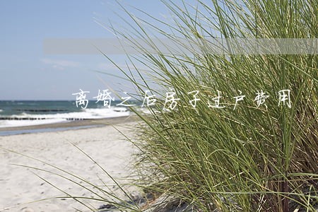 离婚之后房子过户费用 离婚之后房子过户费用