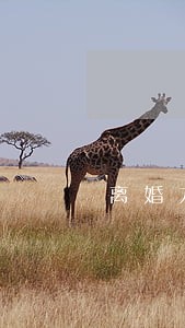 离婚九年前妻还为前夫要钱 离婚九年前妻还为前夫要钱