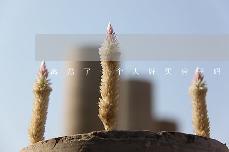离婚了一个人好买房子吗 离婚了一个人好买房子吗