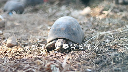 离婚了一定要带孩子么 离婚了一定要带孩子么