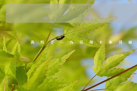 离婚了一方信用卡车贷逾期 离婚了一方信用卡车贷逾期