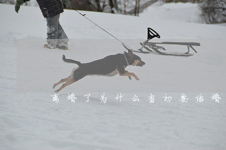 离婚了为什么当初要结婚 离婚了为什么当初要结婚