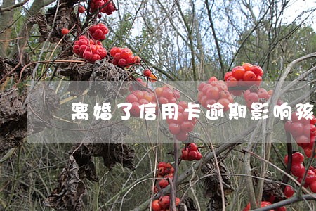 离婚了信用卡逾期影响孩子吗 离婚了信用卡逾期影响孩子吗