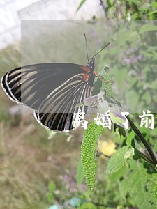 离婚了前夫到家里取东西 离婚了前夫到家里取东西