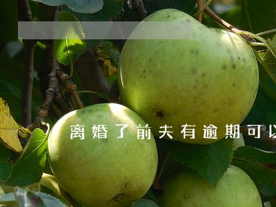 离婚了前夫有逾期可以买房吗 离婚了前夫有逾期可以买房吗