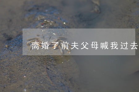 离婚了前夫父母喊我过去 离婚了前夫父母喊我过去