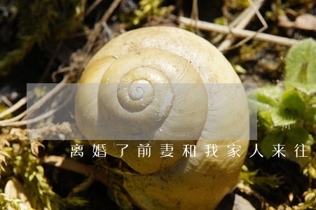 离婚了前妻和我家人来往 离婚了前妻和我家人来往