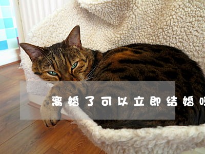 离婚了可以立即结婚吗 离婚了可以立即结婚吗