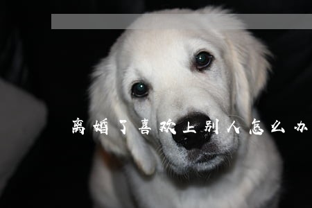 离婚了喜欢上别人怎么办 离婚了喜欢上别人怎么办