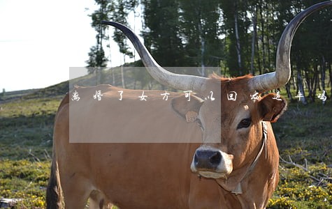 离婚了女方可以回家过年吗 离婚了女方可以回家过年吗