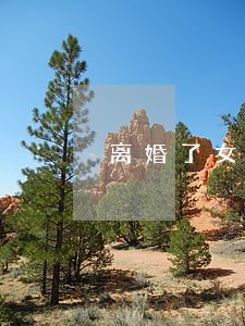 离婚了女方要出钱买房 离婚了女方要出钱买房