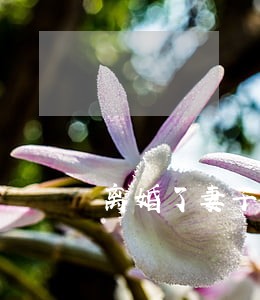 离婚了妻子还算家庭成员吗 离婚了妻子还算家庭成员吗