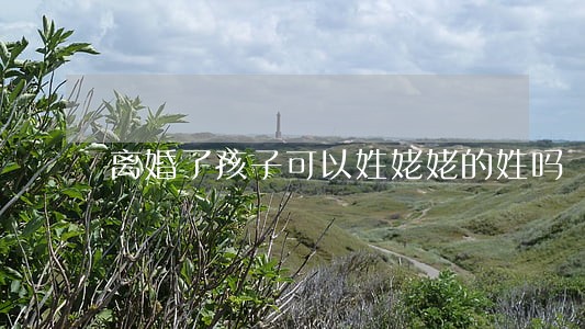 离婚了孩子可以姓姥姥的姓吗