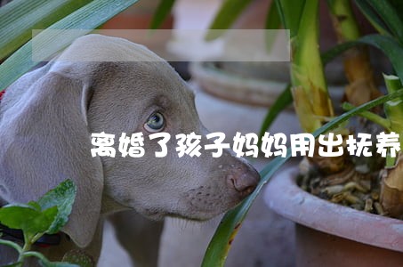 离婚了孩子妈妈用出抚养费吗吗 离婚了孩子妈妈用出抚养费吗吗