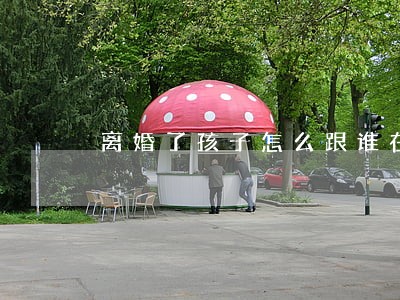 离婚了孩子怎么跟谁在一起 离婚了孩子怎么跟谁在一起
