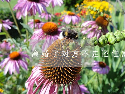 离婚了对方不走还住家里 离婚了对方不走还住家里