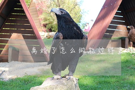 离婚了怎么做能过得更好 离婚了怎么做能过得更好