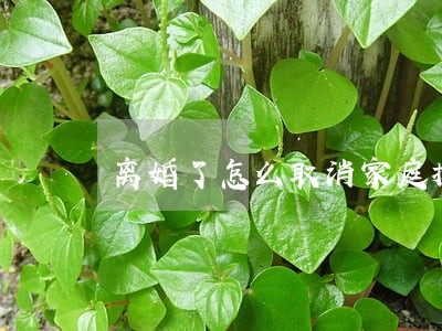 离婚了怎么取消家庭摇号 离婚了怎么取消家庭摇号