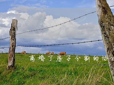 离婚了房子分割的协议 离婚了房子分割的协议